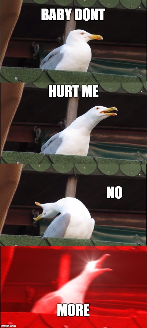 Inhaling Seagull | BABY DONT; HURT ME; NO; MORE | image tagged in memes,inhaling seagull | made w/ Imgflip meme maker