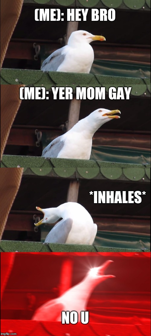 Inhaling Seagull Meme | (ME): HEY BRO; (ME): YER MOM GAY; *INHALES*; NO U | image tagged in memes,inhaling seagull,funny | made w/ Imgflip meme maker