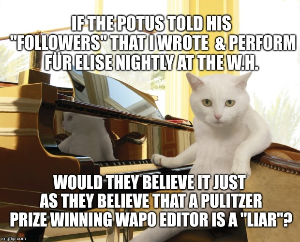 what if I told you | IF THE POTUS TOLD HIS "FOLLOWERS" THAT I WROTE  & PERFORM FÜR ELISE NIGHTLY AT THE W.H. WOULD THEY BELIEVE IT JUST AS THEY BELIEVE THAT A PULITZER PRIZE WINNING WAPO EDITOR IS A "LIAR"? | image tagged in what if i told you | made w/ Imgflip meme maker