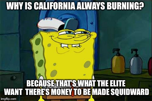 Don't You Squidward | WHY IS CALIFORNIA ALWAYS BURNING? BECAUSE THAT’S WHAT THE ELITE WANT  THERE’S MONEY TO BE MADE SQUIDWARD | image tagged in memes,dont you squidward | made w/ Imgflip meme maker