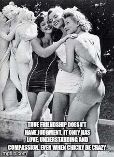 Friendship | TRUE FRIENDSHIP DOESN'T HAVE JUDGMENT. IT ONLY HAS LOVE, UNDERSTANDING AND COMPASSION. EVEN WHEN CHICKY BE CRAZY | image tagged in friendship | made w/ Imgflip meme maker