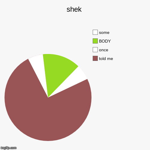 shek | told me, once, BODY, some | image tagged in funny,pie charts | made w/ Imgflip chart maker