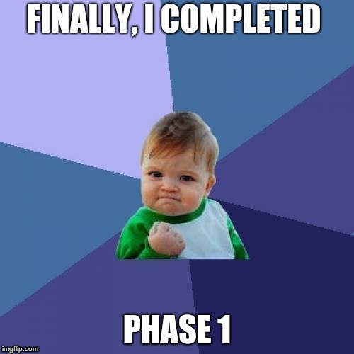 Success Kid Meme | FINALLY, I COMPLETED; PHASE 1 | image tagged in memes,success kid | made w/ Imgflip meme maker