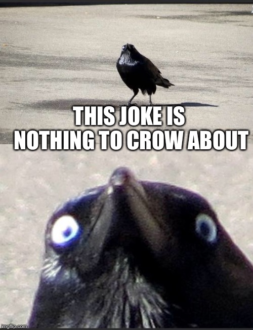 insanity crow | THIS JOKE IS NOTHING TO CROW ABOUT | image tagged in insanity crow | made w/ Imgflip meme maker