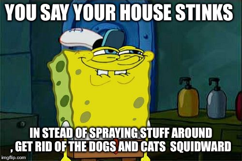Don't You Squidward | YOU SAY YOUR HOUSE STINKS; IN STEAD OF SPRAYING STUFF AROUND , GET RID OF THE DOGS AND CATS  SQUIDWARD | image tagged in memes,dont you squidward | made w/ Imgflip meme maker