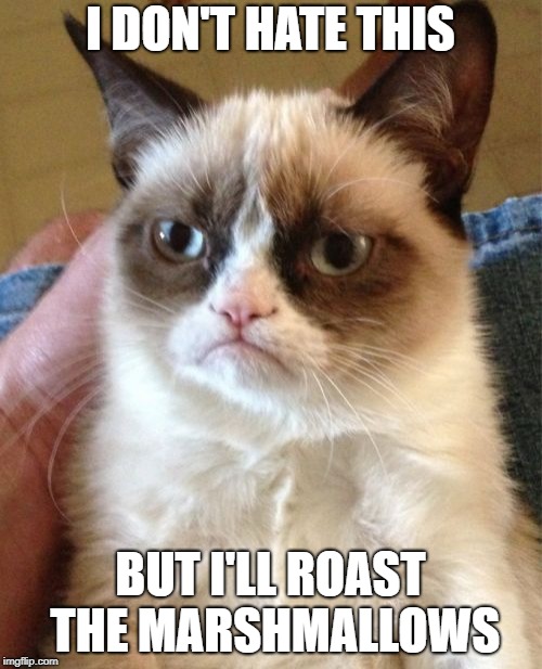Grumpy Cat Meme | I DON'T HATE THIS BUT I'LL ROAST THE MARSHMALLOWS | image tagged in memes,grumpy cat | made w/ Imgflip meme maker