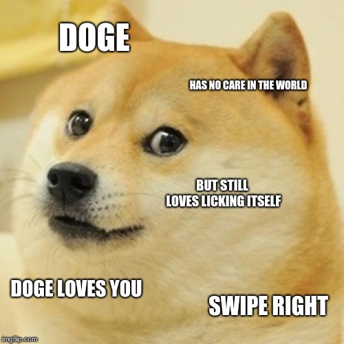 Doge | DOGE; HAS NO CARE IN THE WORLD; BUT STILL LOVES LICKING ITSELF; DOGE LOVES YOU; SWIPE RIGHT | image tagged in memes,doge | made w/ Imgflip meme maker