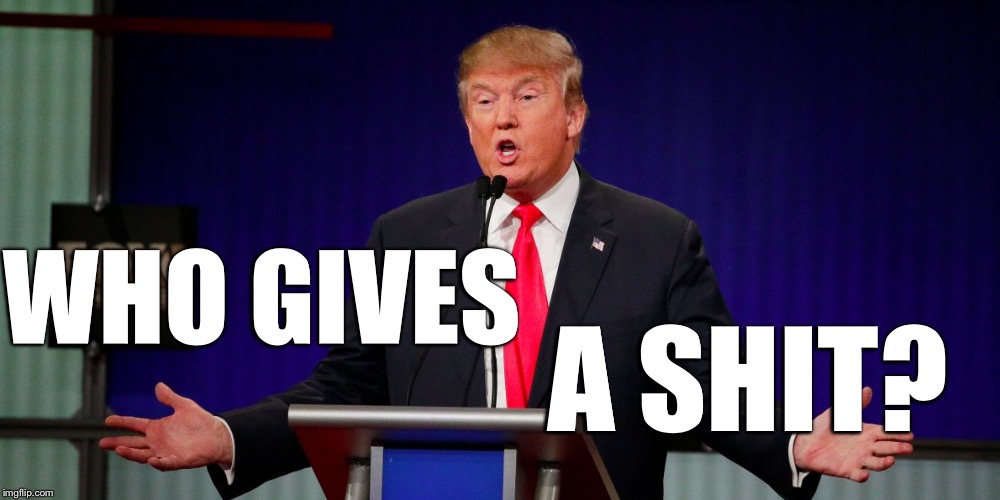 CNN, NY TIMES, MSNBC.... | WHO GIVES A SHIT? | image tagged in trump arms open,nobody cares,booya | made w/ Imgflip meme maker