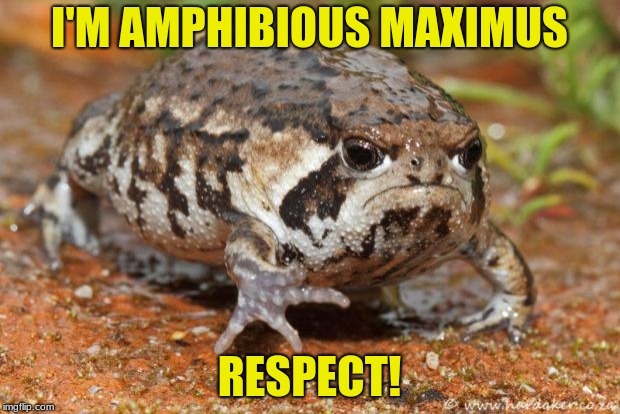 Grumpy Toad Meme | I'M AMPHIBIOUS MAXIMUS; RESPECT! | image tagged in memes,grumpy toad | made w/ Imgflip meme maker