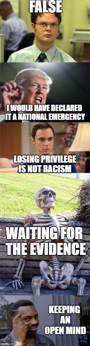 FALSE I WOULD HAVE DECLARED IT A NATIONAL EMERGENCY LOSING PRIVILEGE IS NOT RACISM WAITING FOR THE EVIDENCE KEEPING AN OPEN MIND | made w/ Imgflip meme maker