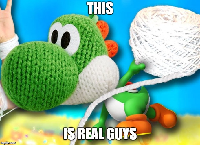 No. | THIS; IS REAL GUYS | image tagged in yarn yoshi,fgteev,tired of your crap | made w/ Imgflip meme maker
