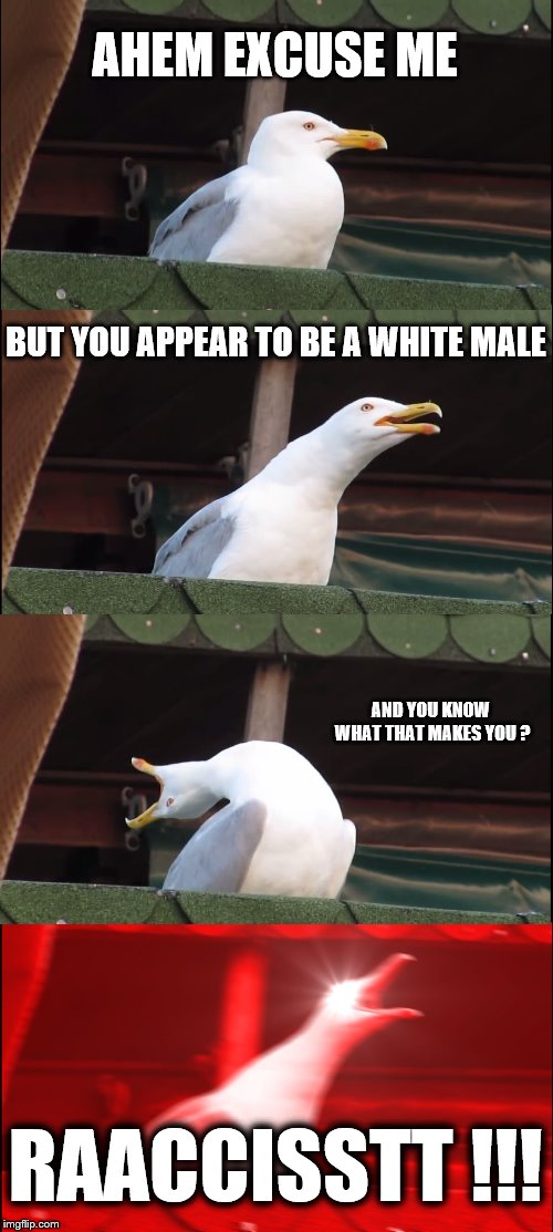 It's not that offensive | AHEM EXCUSE ME; BUT YOU APPEAR TO BE A WHITE MALE; AND YOU KNOW WHAT THAT MAKES YOU ? RAACCISSTT !!! | image tagged in memes,inhaling seagull,triggered feminist,angry feminist,feminazi | made w/ Imgflip meme maker