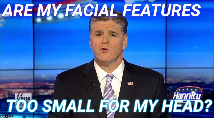 Tiny Hannity | ARE MY FACIAL FEATURES; TOO SMALL FOR MY HEAD? | image tagged in hannity | made w/ Imgflip meme maker