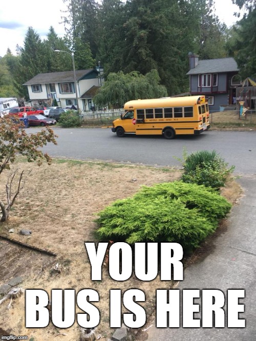 your bus is here. | YOUR BUS IS HERE | image tagged in short bus,special | made w/ Imgflip meme maker