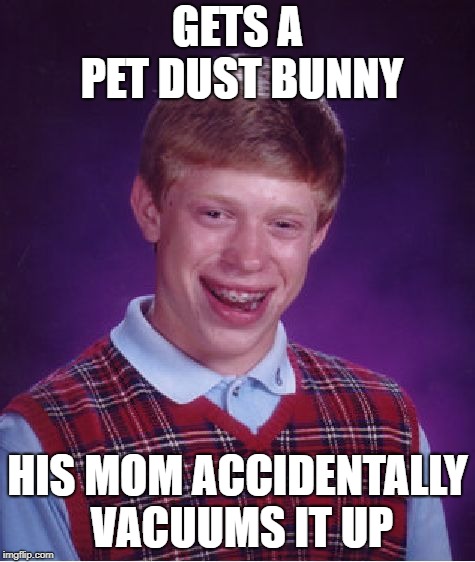 Bad Luck Brian Meme | GETS A PET DUST BUNNY HIS MOM ACCIDENTALLY VACUUMS IT UP | image tagged in memes,bad luck brian | made w/ Imgflip meme maker
