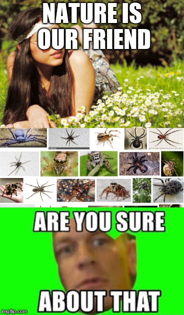 r u sure about that |  NATURE IS OUR FRIEND | image tagged in are you sure,spiders,hippie,hippie meme girl,nope nope nope,nope | made w/ Imgflip meme maker