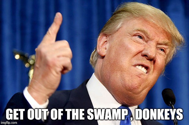 Donald Trump | GET OUT OF THE SWAMP , DONKEYS | image tagged in donald trump | made w/ Imgflip meme maker