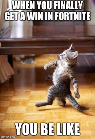 Cool Cat Stroll | WHEN YOU FINALLY GET A WIN IN FORTNITE; YOU BE LIKE | image tagged in memes,cool cat stroll | made w/ Imgflip meme maker