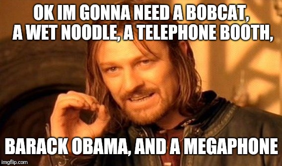 One Does Not Simply Meme | OK IM GONNA NEED A BOBCAT, A WET NOODLE, A TELEPHONE BOOTH, BARACK OBAMA, AND A MEGAPHONE | image tagged in memes,one does not simply | made w/ Imgflip meme maker