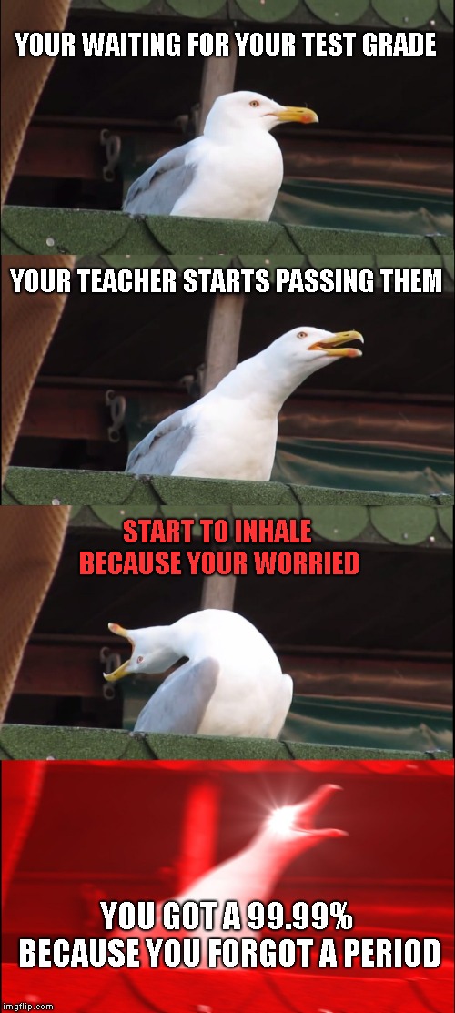 Inhaling Seagull | YOUR WAITING FOR YOUR TEST GRADE; YOUR TEACHER STARTS PASSING THEM; START TO INHALE BECAUSE YOUR WORRIED; YOU GOT A 99.99% BECAUSE YOU FORGOT A PERIOD | image tagged in memes,inhaling seagull | made w/ Imgflip meme maker