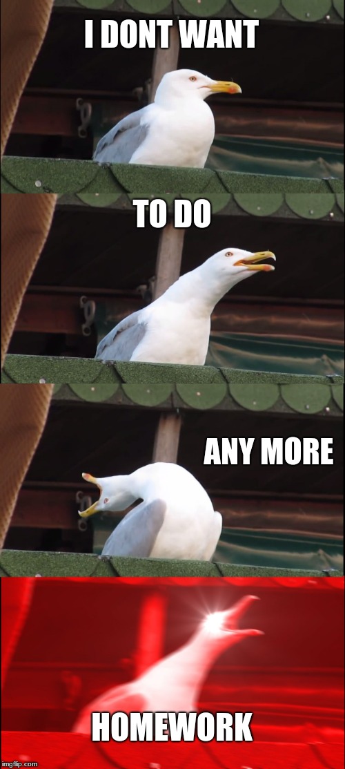 Inhaling Seagull | I DONT WANT; TO DO; ANY MORE; HOMEWORK | image tagged in memes,inhaling seagull | made w/ Imgflip meme maker