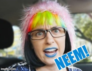 Neem! | NEEM! | image tagged in neem | made w/ Imgflip meme maker