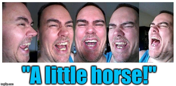 LOL | "A little horse!" | image tagged in lol | made w/ Imgflip meme maker