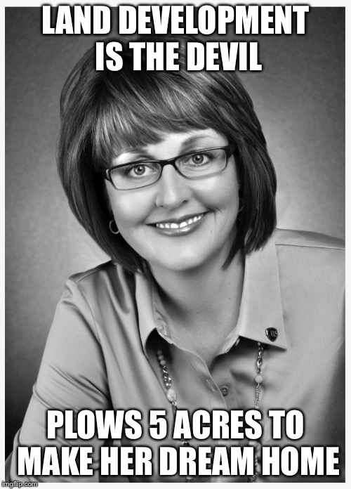 Colleen Murphy | LAND DEVELOPMENT IS THE DEVIL; PLOWS 5 ACRES TO MAKE HER DREAM HOME | image tagged in colleen murphy | made w/ Imgflip meme maker