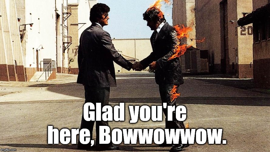 Wish You Were Here  | Glad you're here, Bowwowwow. | image tagged in wish you were here | made w/ Imgflip meme maker