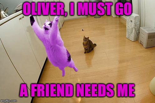 RayCat save the world | OLIVER, I MUST GO A FRIEND NEEDS ME | image tagged in raycat save the world | made w/ Imgflip meme maker