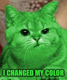 RayCat Annoyed | I CHANGED MY COLOR | image tagged in raycat annoyed | made w/ Imgflip meme maker