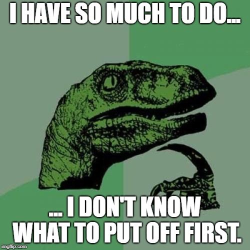 Philosoraptor Meme | I HAVE SO MUCH TO DO... ... I DON'T KNOW WHAT TO PUT OFF FIRST. | image tagged in memes,philosoraptor | made w/ Imgflip meme maker