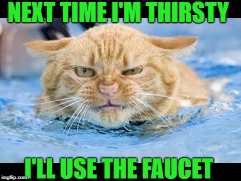 NEXT TIME I'M THIRSTY I'LL USE THE FAUCET | made w/ Imgflip meme maker