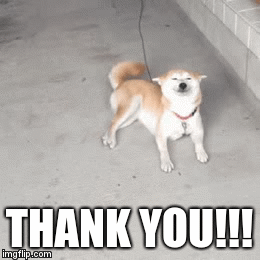 puppy thank you gif