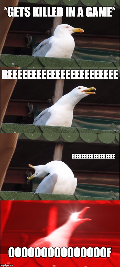 Inhaling Seagull | *GETS KILLED IN A GAME*; REEEEEEEEEEEEEEEEEEEEEEE; EEEEEEEEEEEEEEEEEE; OOOOOOOOOOOOOOOF | image tagged in memes,inhaling seagull | made w/ Imgflip meme maker