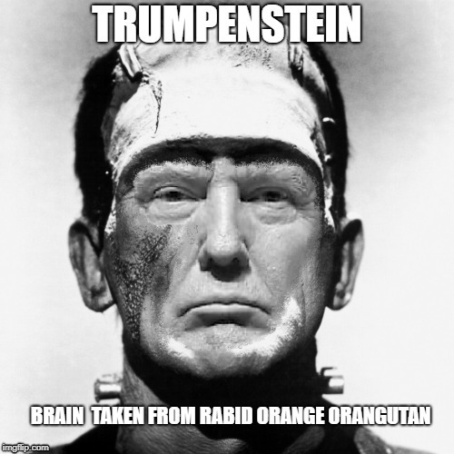 Trumpenstein | image tagged in trump,frankenstein,trumpenstein,rabid,orangutan | made w/ Imgflip meme maker
