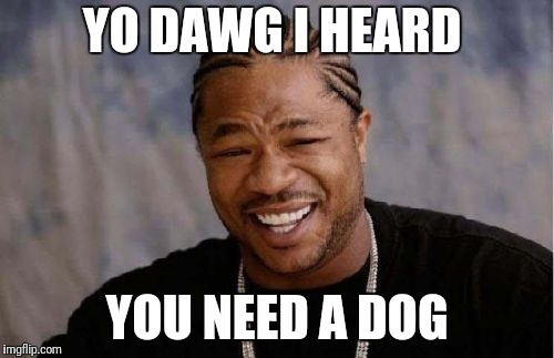 Yo Dawg Heard You Meme | YO DAWG I HEARD YOU NEED A DOG | image tagged in memes,yo dawg heard you | made w/ Imgflip meme maker