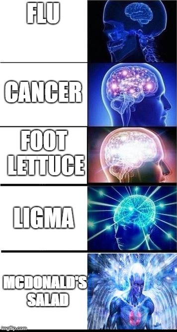 KNOWLEDGE | FLU; CANCER; FOOT LETTUCE; LIGMA; MCDONALD'S 
SALAD | image tagged in knowledge | made w/ Imgflip meme maker