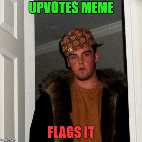 Gotta love a meme that goes against the guidelines | UPVOTES MEME; FLAGS IT | image tagged in memes,scumbag steve,dank memes,funny,scumbag,meanwhile on imgflip | made w/ Imgflip meme maker