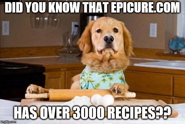 cooking dog | DID YOU KNOW THAT EPICURE.COM; HAS OVER 3000 RECIPES?? | image tagged in cooking dog | made w/ Imgflip meme maker