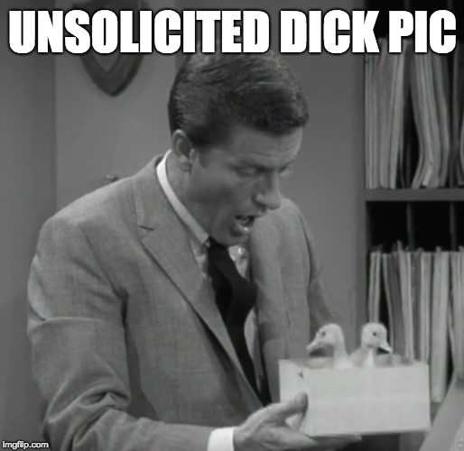 Or is that an unsolicited duck pic? | UNSOLICITED DICK PIC | image tagged in dick pic,dick | made w/ Imgflip meme maker