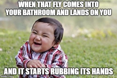 Evil Toddler | WHEN THAT FLY COMES INTO YOUR BATHROOM AND LANDS ON YOU; AND IT STARTS RUBBING ITS HANDS | image tagged in memes,evil toddler | made w/ Imgflip meme maker