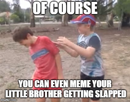 Skits, Bits and Nits | OF COURSE YOU CAN EVEN MEME YOUR LITTLE BROTHER GETTING SLAPPED | image tagged in skits bits and nits | made w/ Imgflip meme maker