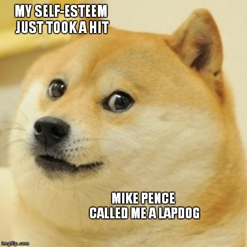 Mr. Pot Meet Mr. Kettle | MY SELF-ESTEEM JUST TOOK A HIT; MIKE PENCE CALLED ME A LAPDOG | image tagged in memes,doge,mike pence vp | made w/ Imgflip meme maker