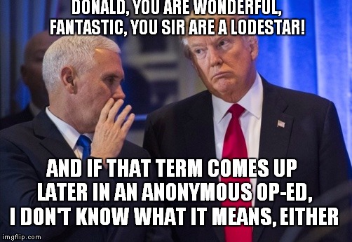 Let Me Pat You On The Back So I Can Find A Nice Soft Spot.. |  DONALD, YOU ARE WONDERFUL, FANTASTIC, YOU SIR ARE A LODESTAR! AND IF THAT TERM COMES UP LATER IN AN ANONYMOUS OP-ED, I DON'T KNOW WHAT IT MEANS, EITHER | image tagged in trump pence | made w/ Imgflip meme maker
