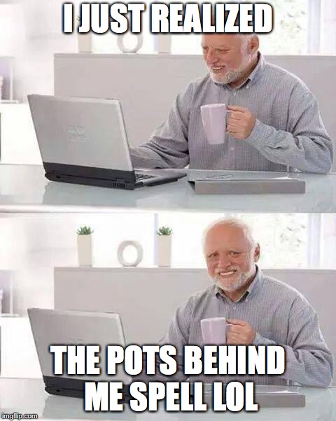 Hide the Pain Harold Meme | I JUST REALIZED; THE POTS BEHIND ME SPELL LOL | image tagged in memes,hide the pain harold | made w/ Imgflip meme maker