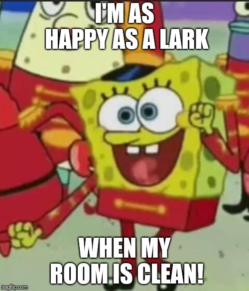 happy spongebob | I'M AS HAPPY AS A LARK; WHEN MY ROOM IS CLEAN! | image tagged in happy spongebob | made w/ Imgflip meme maker