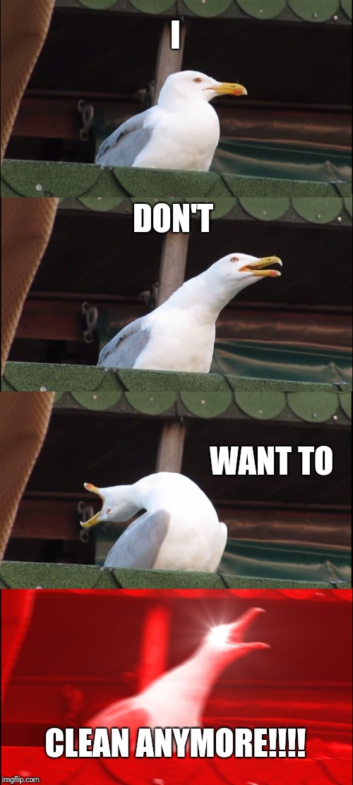 Inhaling Seagull | I; DON'T; WANT TO; CLEAN ANYMORE!!!! | image tagged in memes,inhaling seagull | made w/ Imgflip meme maker