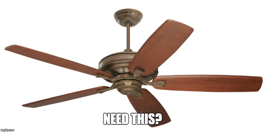 Ceiling fan | NEED THIS? | image tagged in ceiling fan | made w/ Imgflip meme maker