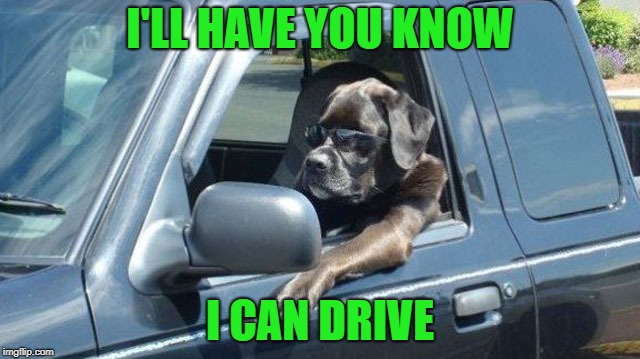 I'LL HAVE YOU KNOW I CAN DRIVE | made w/ Imgflip meme maker